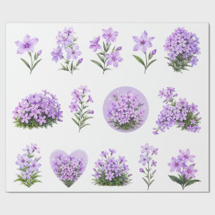 Papel De Regalo Conjunto botánico de flores silvestres de Flox Ras