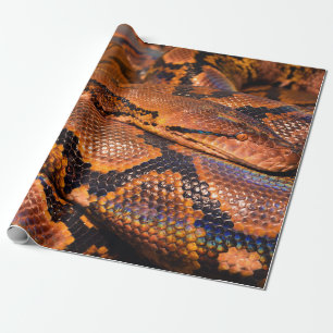 Papel De Regalo Constrictor de boa