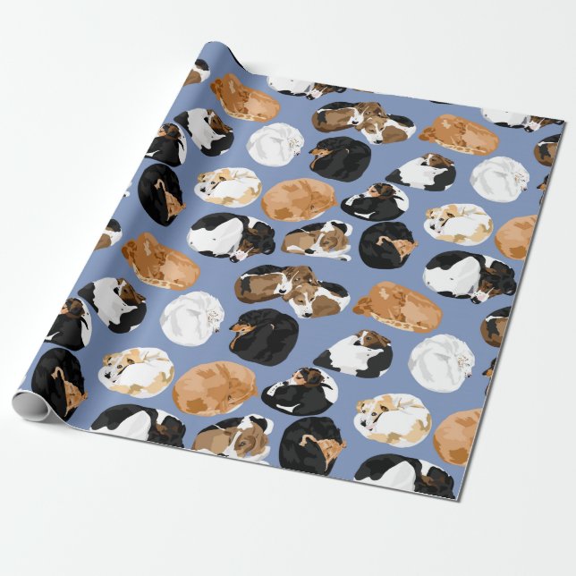 Papel De Regalo Cooniecurl (Desenrollado)