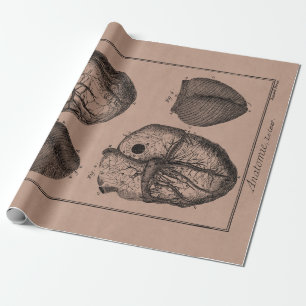 Papel De Regalo Corazones cardiacos retros de la anatomía del