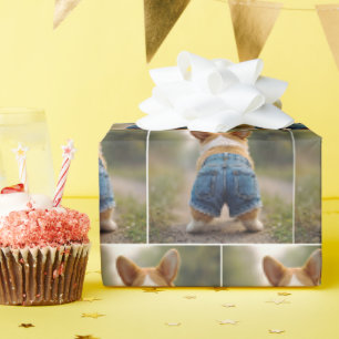 Papel De Regalo Corgi Dog Con Denim Shorts