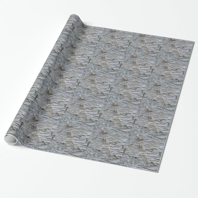 Papel De Regalo Corteza de abedul blanco (Desenrollado)