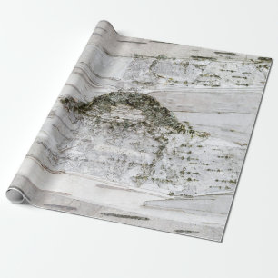 Papel De Regalo Corteza de árbol de pájaros