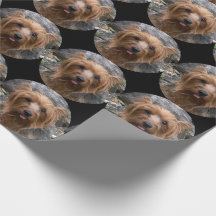 Crea tu propia foto de perro personalizada