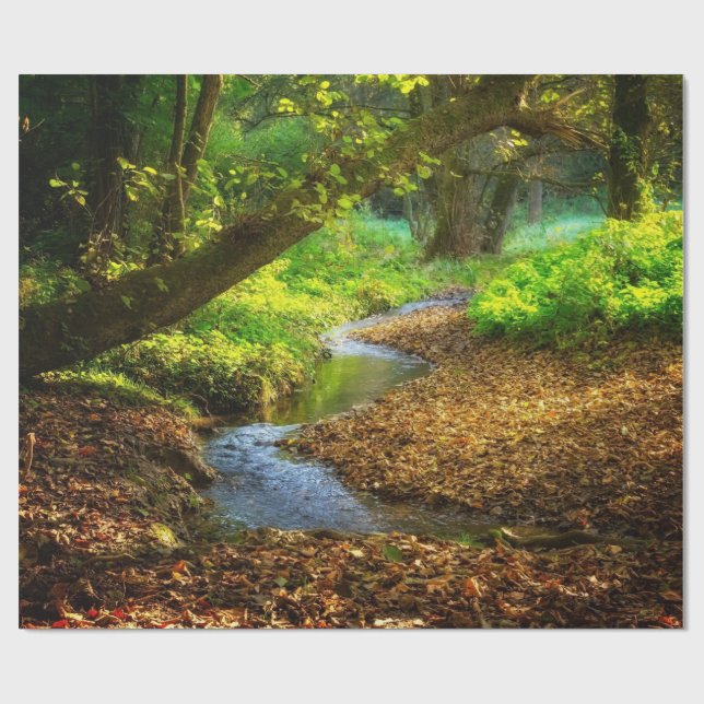 Papel De Regalo Creek forestal Hermoso paisaje natural Foto (Superficie plana)