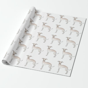 Papel De Regalo Crema Italiana Greyhound Cute Dibujo Patrón Perro
