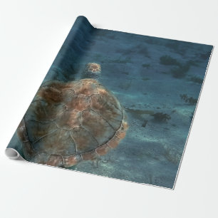 Papel De Regalo Criaturas marinas de Guay