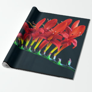 Papel De Regalo Crocosomia Lucifer Montbretia Floral