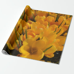 Papel De Regalo Crocus flavus amarillo - Flores Amarillas Doradas