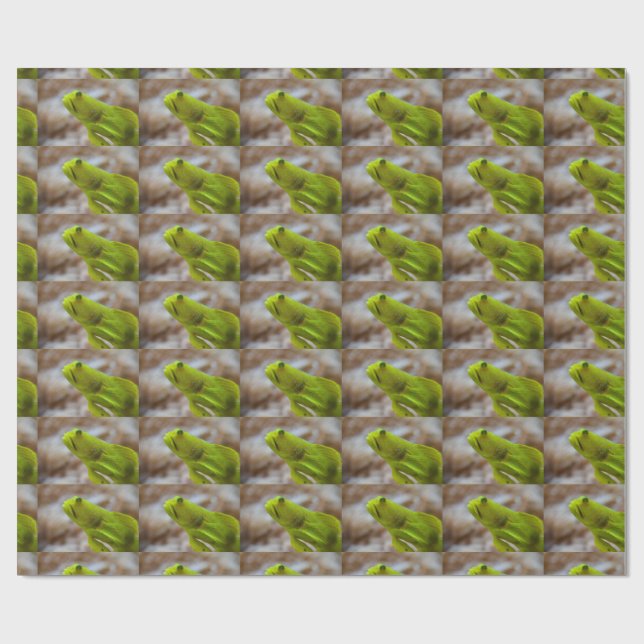 Papel De Regalo Cryptocentrus cinctus (Superficie plana)