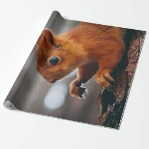 PAPEL DE REGALO CUADRÍCULA EN TRUNK DE ÁRBOL