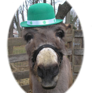 Papel De Regalo "¿Cuál es el gran acuerdo?"