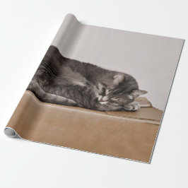 Papel De Regalo Cubierta Tabby Gato Dormido En Caja