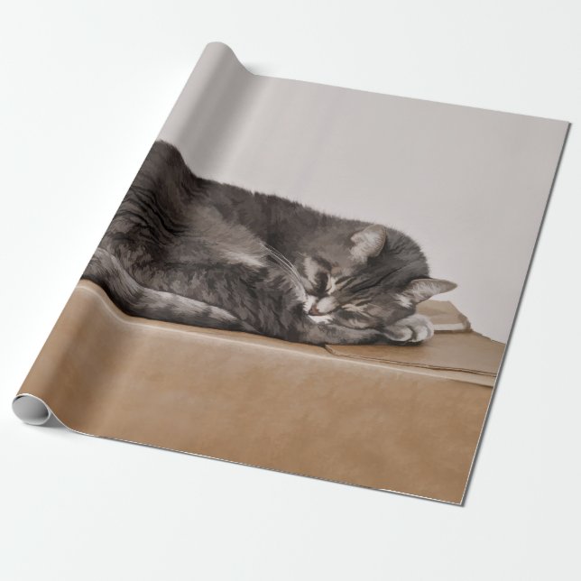 Papel De Regalo Cubierta Tabby Gato Dormido En Caja (Desenrollado)