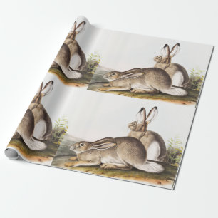 Papel De Regalo Cuenca de la Montaña Rocosa de Townsend (Lepus To