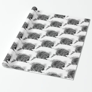 Papel De Regalo Cuidada y brillante Hedgehog Thunder_Cove