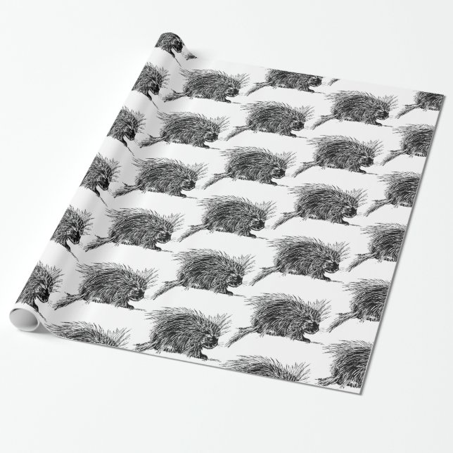 Papel De Regalo Cuidada y espeluznante Hedgehog Thunder_Cove (Desenrollado)