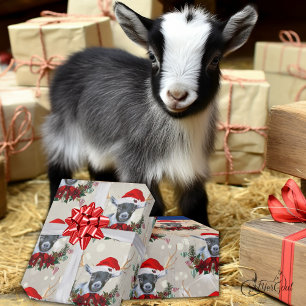 Papel De Regalo Cuidados Navidades Pigmy Kid Goat Poinsettia Wreat