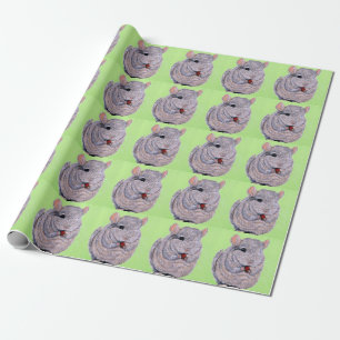 Papel De Regalo Cuidadosamente peinada Chinchilla