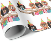 Cumpleaños Cavalier King Charles Spaniel