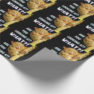 Papel De Regalo Curioso Misericordioso ¿Qué Estás Mirando?