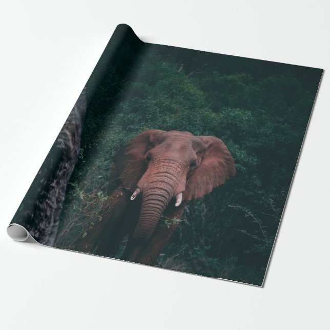 PAPEL DE REGALO CUTE ELEPHANT (Desenrollado)