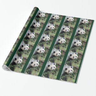 Papel De Regalo Cute Giant Panda Green