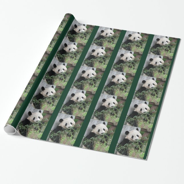 Papel De Regalo Cute Giant Panda Green (Desenrollado)
