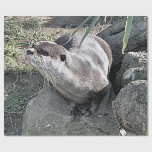 PAPEL DE REGALO CUTE OTTER