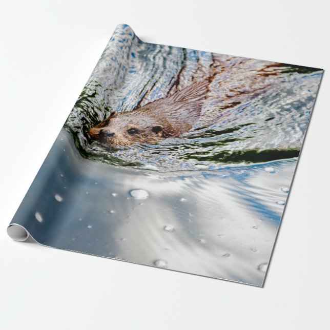 PAPEL DE REGALO CUTE SEAL SWIMMING (Desenrollado)