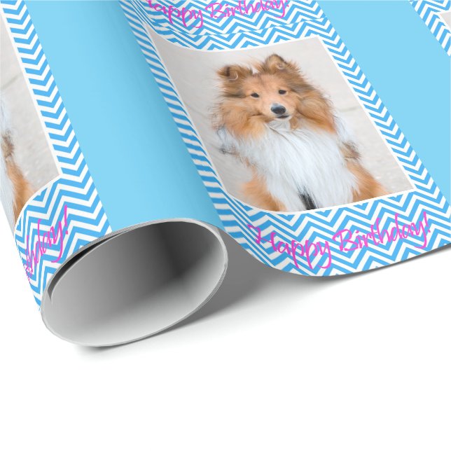 Papel De Regalo Cute Sheltie Shetland Sheepdog Happy Birday (Esquina del rollo)