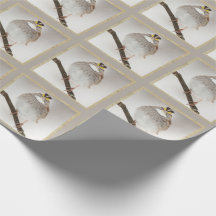 Cute Sparrow