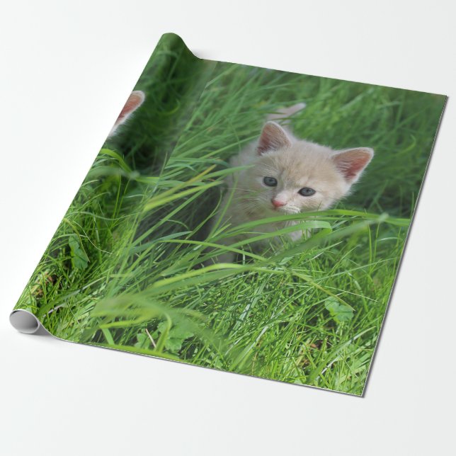 Papel De Regalo Cuteness (Desenrollado)
