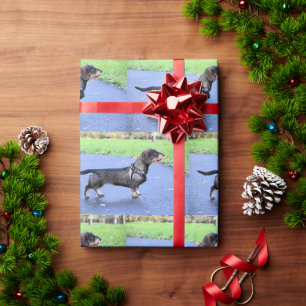 Papel De Regalo dachshund cableado lleno