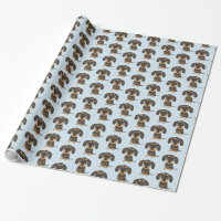 Dachshund de cabello alambrado| Perro Cute Teckel 