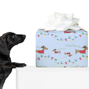 Papel De Regalo Dachshund Robando las luces del árbol de Navidad