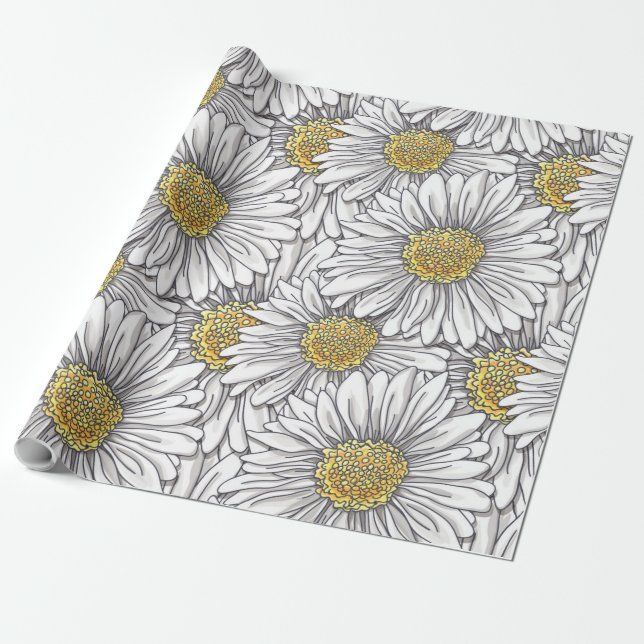 Papel De Regalo Daisies (Desenrollado)