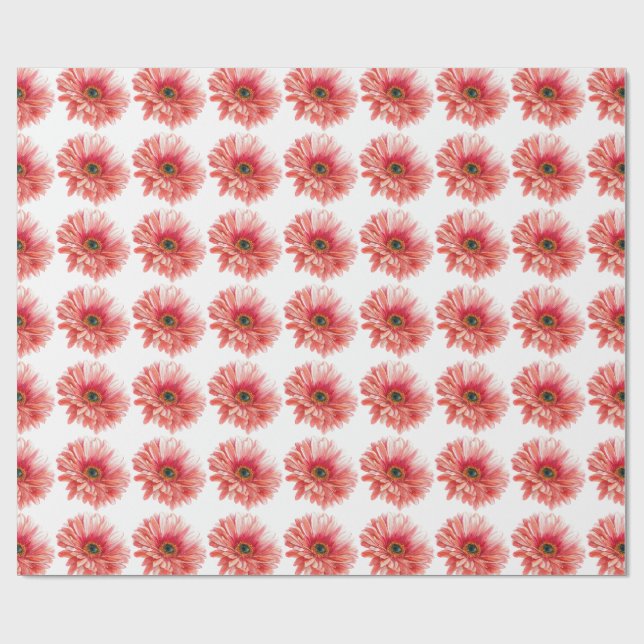 Papel De Regalo DAISY FLOWER beautiful watercolor daisies pink  (Superficie plana)