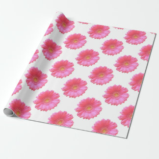 Papel De Regalo Daisy gerbera rosada
