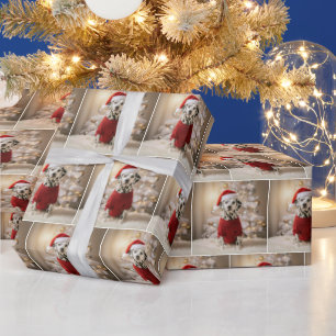 Papel De Regalo Dálmata de Navidad con un Suéter Rojo