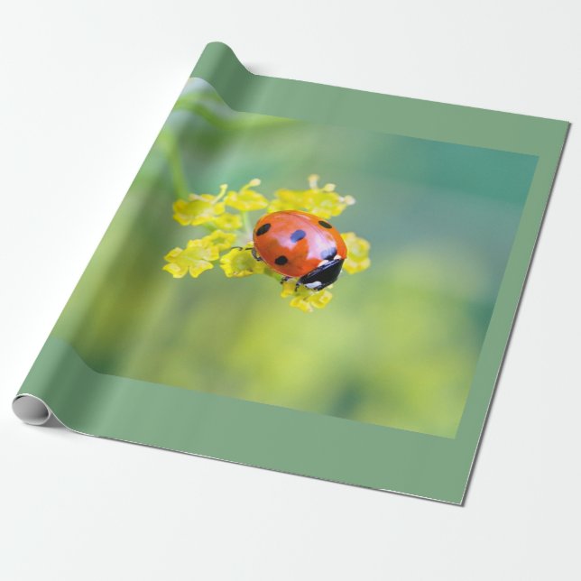 Papel De Regalo dama encima (Desenrollado)