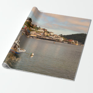 Papel De Regalo Dartboso