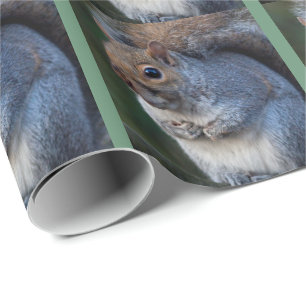 Papel de regalo de ardilla gris