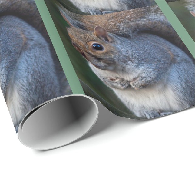 Papel de regalo de ardilla gris (Esquina del rollo)