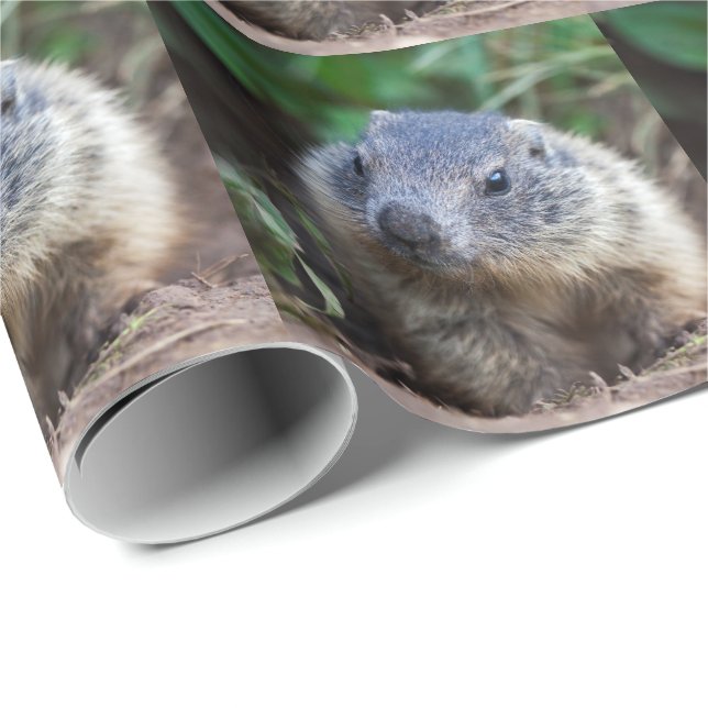 Papel de regalo de bebé marmota curioso (Esquina del rollo)