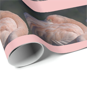 Papel de Regalo de Flamenco Durmiendo