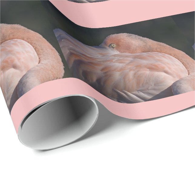 Papel de Regalo de Flamenco Durmiendo (Esquina del rollo)