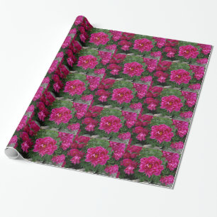 Papel de regalo de fotografía de flores rosas