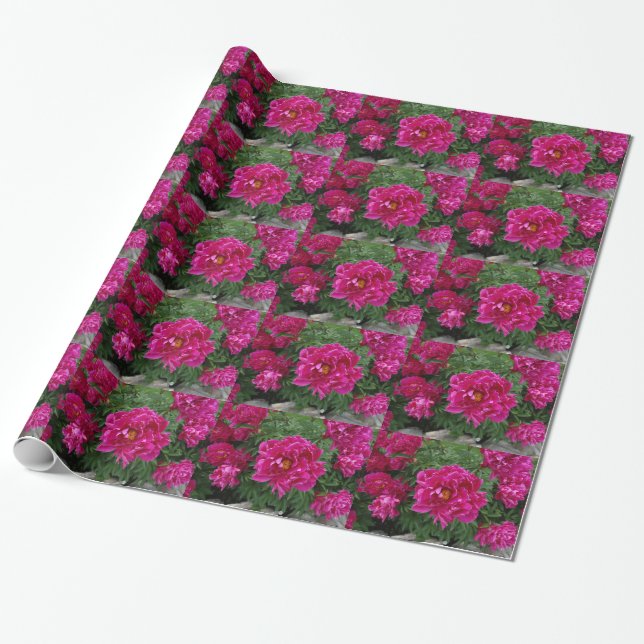 Papel de regalo de fotografía de flores rosas (Desenrollado)