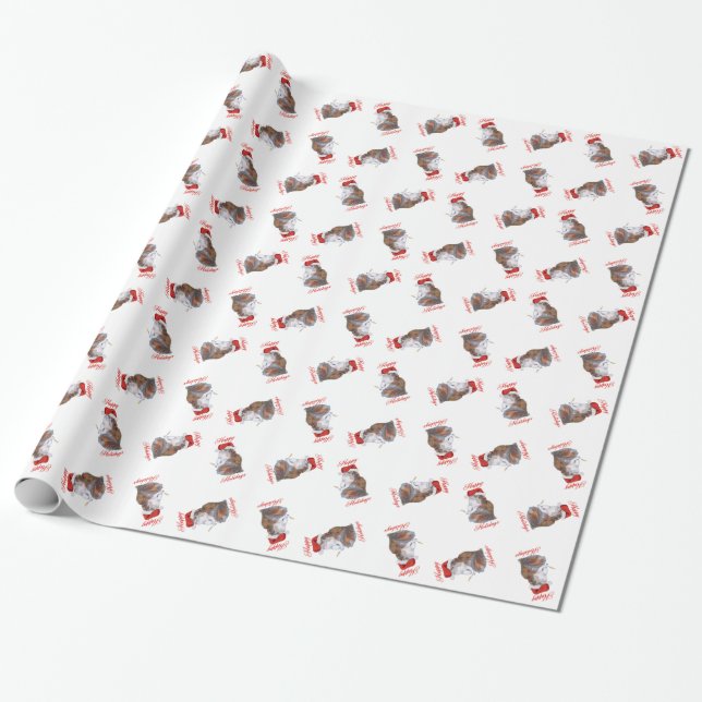 Papel de regalo de gato persa calico (Desenrollado)
